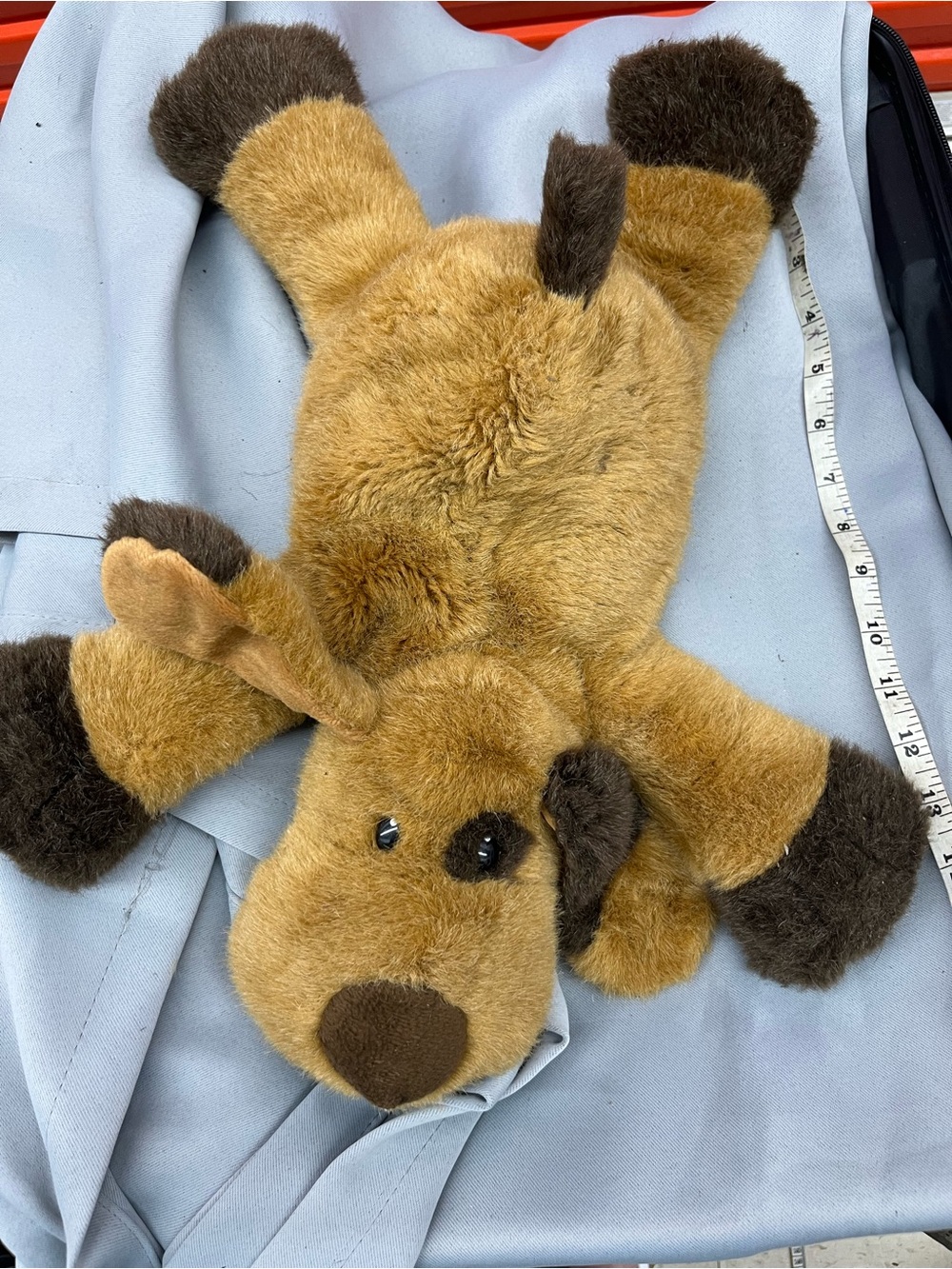 brown and tan MTY International Co. laying dog.